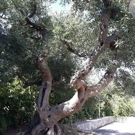 Nyaraló Il Bouganville Monopoli